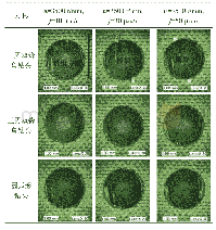 《表1 三种钻头钻削孔入口形貌对比Tab.1 Comparsion of hole entry morphology》