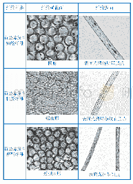 《表1 显微镜法石墨烯复合纤维形态特征表》