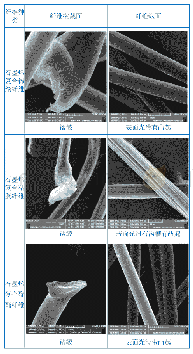 《表2 扫描电镜法石墨烯复合纤维形态特征表》
