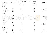 《表2 ERCC1mRNA的表达与鼻咽癌患者临床特征的关系 (例)》