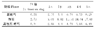 表1 0 Si元素在主要物相中含量