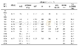 《表2 水泥混凝土配合比设计及其28d抗压强度》