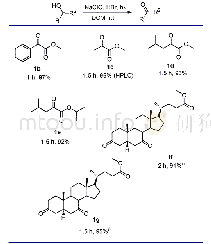 表2 电机定子参数表：次氯酸钠引发的α-羟基酯的自由基氧化