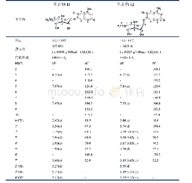 表1 化合物11和12波谱数据对比