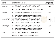 Tab.1 Sequence of primers