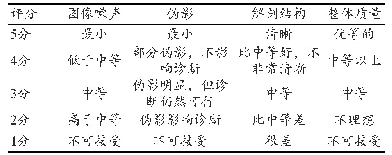 表1 主观评价图像质量的评分标准