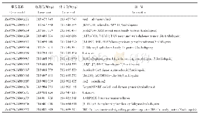表3 qPH2.4区间内17个候选基因注释信息