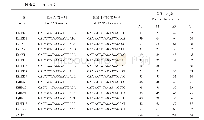 表2 所选引物组合的序列信息及扩增条带数