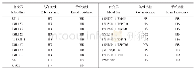 《表6 子粒与穗轴对拟轮枝镰孢菌的抗性评价》