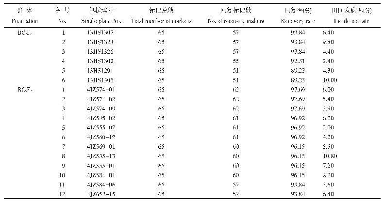 表4 含有纯合主效抗病位点的BC2F2和BC3F2单株背景回复率和田间发病率分析