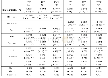 《表3 横向财政失衡与全要素生产率的路径分析》