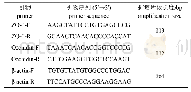 《表1 用于PCR扩增的引物序列》