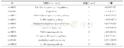 《表2 排序前十的生物途径（pathway）富集结果》