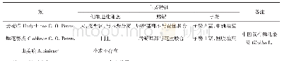 表2 姜亚科3个族的主要特征