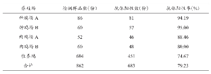 表1 H5亚型禽流感病毒抗体 (Re-8株) 检测结果