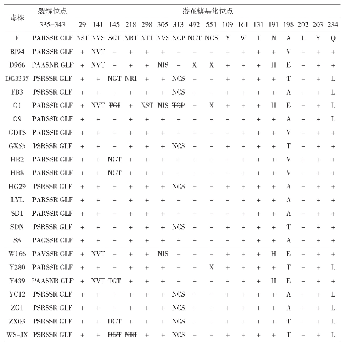 表2 WS-JX株与各参考毒株HA蛋白关键位点的比较
