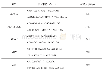 表1 A、B、D、E、J亚群禽白血病病毒和MDV、CAV特异性检测引物