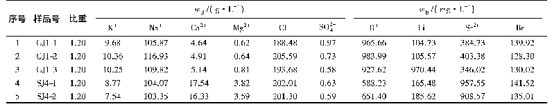 表1 江陵凹陷富硼卤水的化学组成