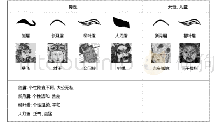 表1眉毛形状分类：老河口木版年画艺术造型中的程式化