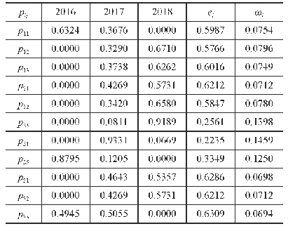 表4 指标层熵值及熵权值