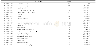 表4 GO富集分析（CC)Top20