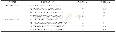 表1 各基因扩增引物序列