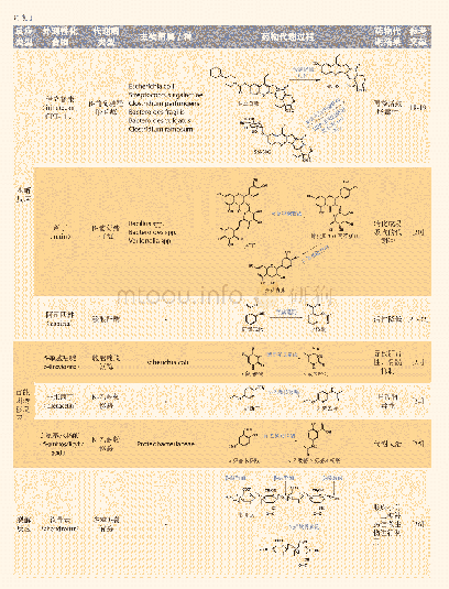 表1 肠道菌代谢药物的反应类型及代表药的代谢通路