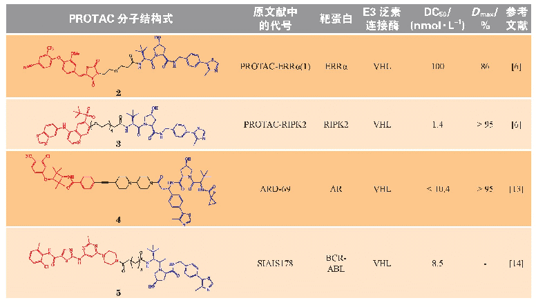 表1 代表性小分子PROTAC