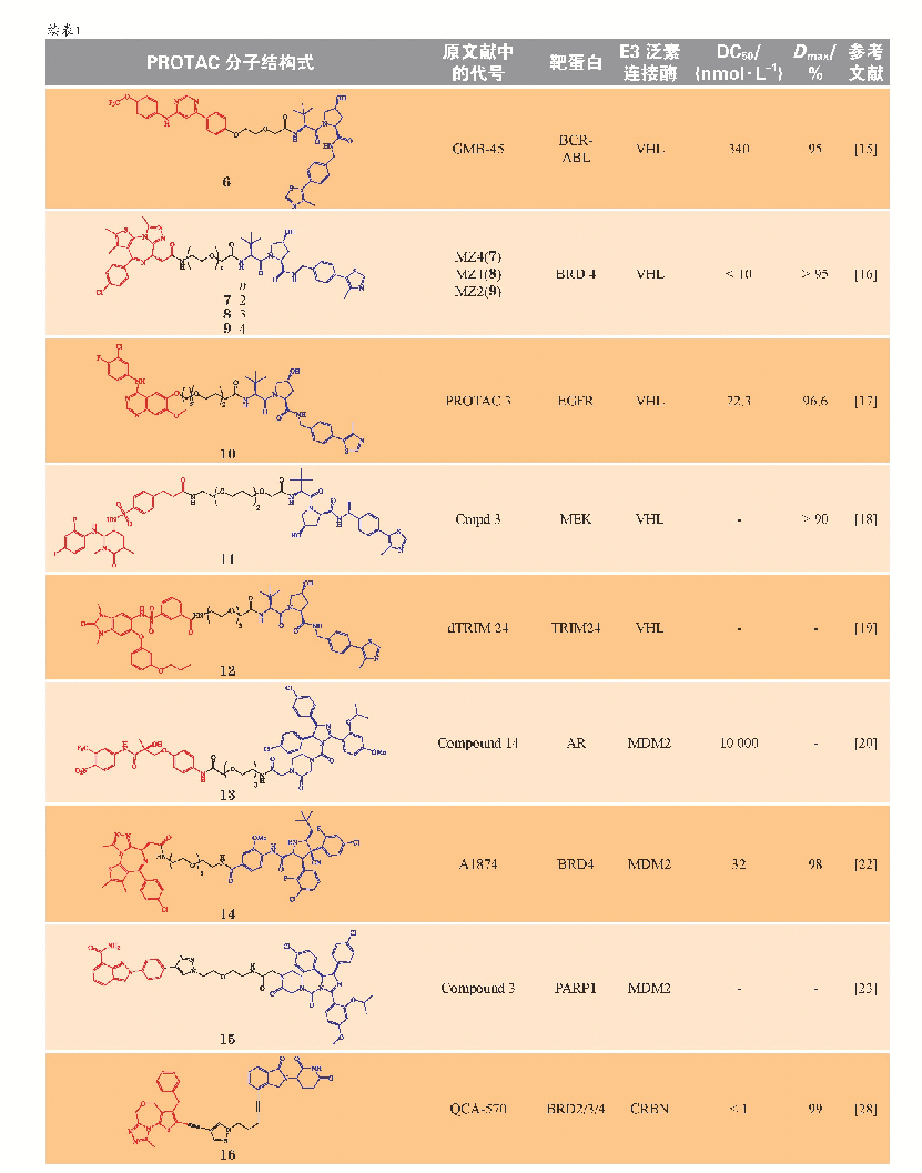 表1 代表性小分子PROTAC