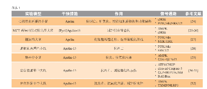 《表1 Elabela-Apelin-APJ系统在血管重构稳态和血管疾病中的调节作用及相关信号机制》