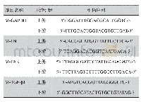 《表1 RT-PCR引物序列》