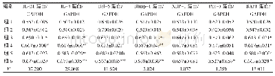 《表5 Peyer小结Tfh相关细胞因子及转录因子蛋白的表达（n=3,±s)》