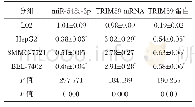 表1 miR-548c-3p和TRIM59在肝癌细胞和正常肝细胞中的表达 (, n=12)