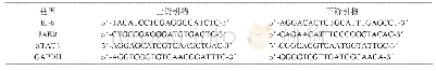 表1 引物序列表：敲低lncRNA DILC对胶质瘤细胞体外生物学特性的影响