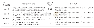 表1 引物设计：云南省婴儿期不同民族高非结合性胆红素血症UGT1A1基因多态性研究