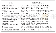 表1 β-actin、ASF1B、FOXM1、CDK6及VEGFB引物序列