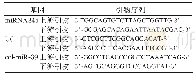 表2 mi RNA34a和参照基因引物序列