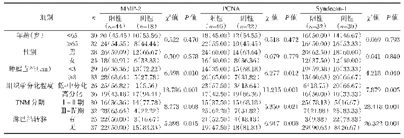 表2 MMP-2、PCNA及Syndecan-1与口腔黏膜鳞状细胞癌患者病理特征的关系[n(%)]