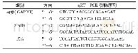 表2 qRT-PCR引物