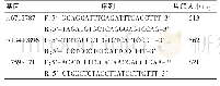 《表1 HIF-2a基因rs6715787、rs 13419896、rs 7598371的SNP位点引物序列、扩增片段大小》