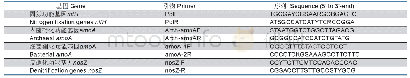 表2 凋落叶表面氮转化功能基因定量引物表