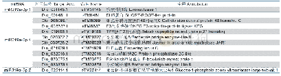 表2 龙眼miR319家族成员潜在e TMs预测