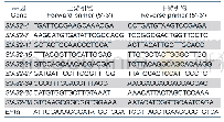 表1 马铃薯AS2基因家族表达分析实时荧光定量引物