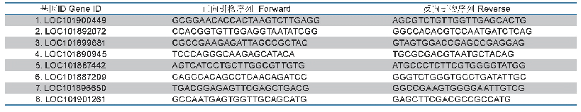 表2 ds Md Cht2组与ds GFP组转录组差异表达基因的实时荧光定量PCR验证引物序列