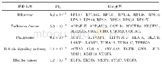 表9 前5个通路的详细信息