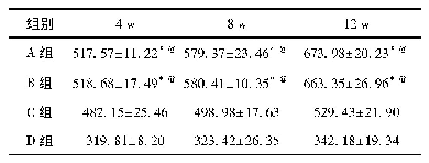 表3 各时期实验区平均BMD值(mg/cm3)