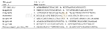 《表1 实时荧光定量PCR基因引物序列》