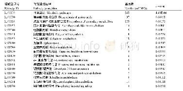 表3 芦笋雄花特有可变剪接基因显著富集的代谢通路