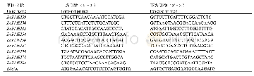 表1 qPCR所用引物及其序列