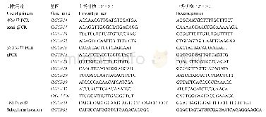 《表1 本研究中所使用的引物》